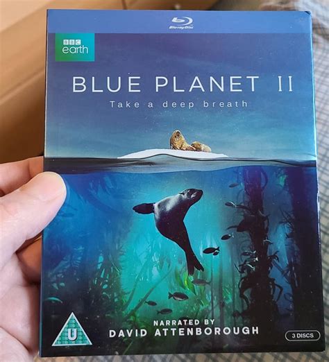 Huge Bbc Earth Documentary Fan This Looks Absolutely Gorgeous Played On My Ps5 4k Tv R