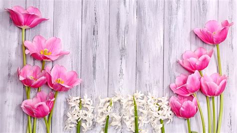 1920x1080px Free Download Hd Wallpaper Flower Bouquet Tulip