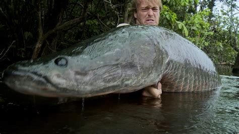 Throughout his life edward bloom has always been a man of big appetites, enormous passions and tall tales. Hunting for a Giant Arapaima | Jakub Vagner: Big Fish Man ...