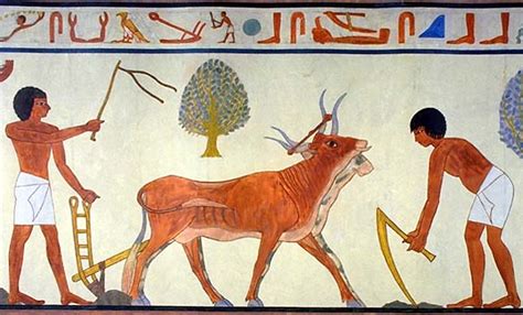 ancient egyptian agriculture