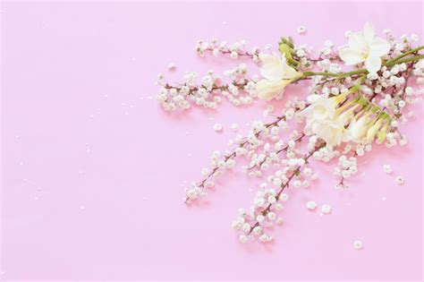 Premium Photo White Spring Flowers On Pink Background