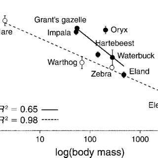 The foregut fermenter herbivores are a lot more efficient as the food is digested on the first pass through the digestive system. (PDF) Allometric scaling predicts preferences for burned ...