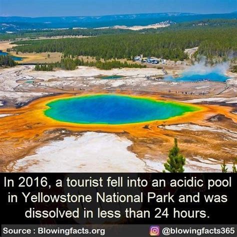 What Are Some Fun Facts About Yellowstone National Park Histrq