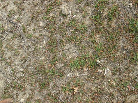 Ground Texture 11 Free Stock Photo Public Domain Pictures