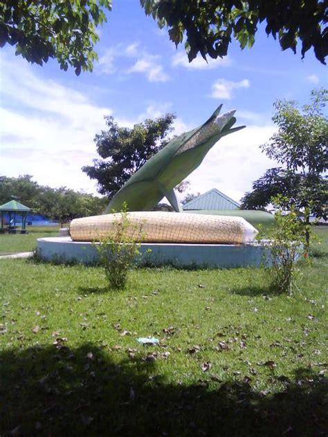 Maybe you would like to learn more about one of these? Pesta Jagung Kota Marudu 2011: 12&13 November 2011 - I ...