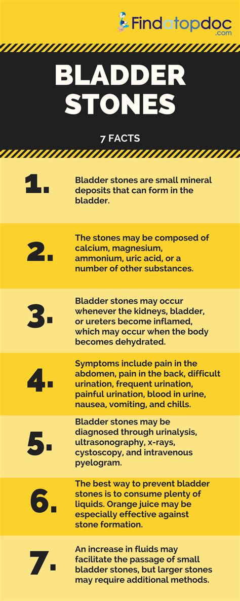 Speed of growth will usually depend on the quantity of crystalline material present and the degree of infection present. Bladder Stones: Symptoms, Causes, Treatment, and Diagnosis ...