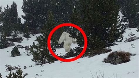 8 Mythical Creatures Recently Spotted In Real Life