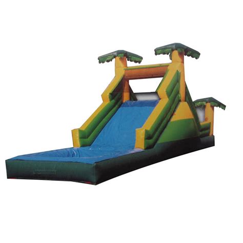 Water Slides Flws A20020