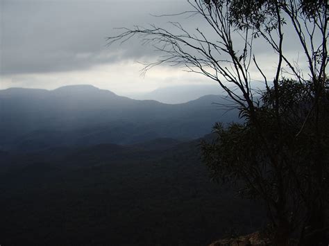 Free Images Landscape Tree Nature Forest Horizon Wilderness