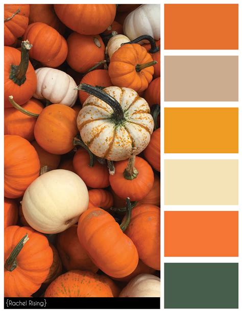 Color Swatches Rachelrisingdesign Color Swatches Fall Color