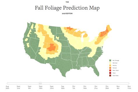Plan A Drive To See The Leaves Changing Color With This Interactive