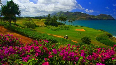 Nature Landscape Water Trees Sea Hawaii Golf Course Flowers