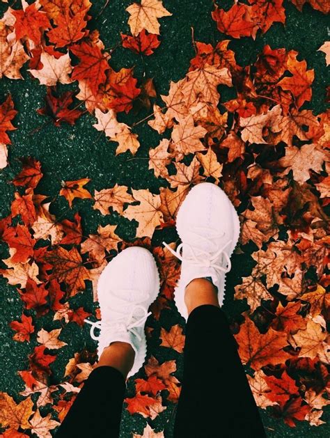 Pinterest Goodvibehub Autumn Weekend Autumn Cozy Fall Inspo