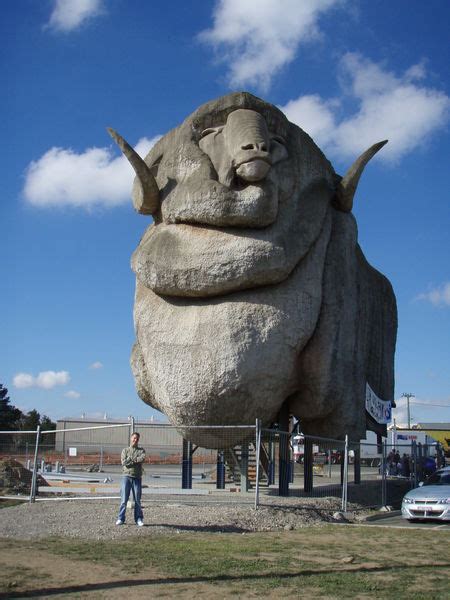 Dash (which stands for digital cash) is an independent next big altcoin platform which started in 2015. The Big Merino, Goulburn | Photo