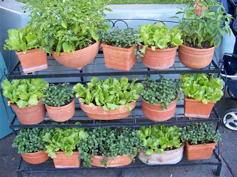 10 Creative Vegetable Garden Ideas