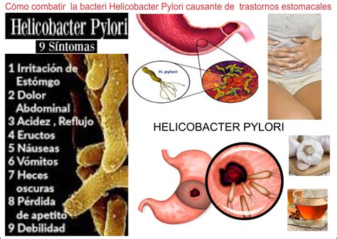 Helicopter Bacteria Pylori