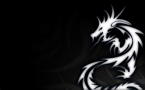 🔥 download dragon logo designs hd wallpaper in by andrewroberts black and white dragon