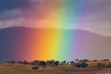 David Roma Photography All Rainbow
