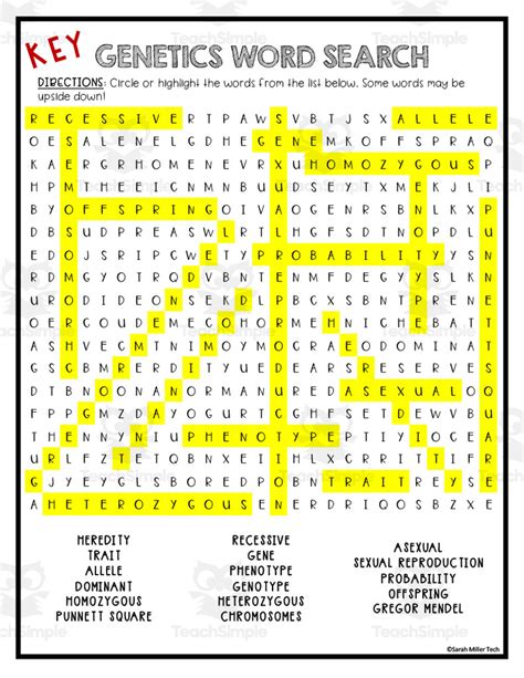Genetics Word Search Activity By Teach Simple