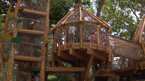 Saint Louis Zoos New Primate Exhibit Is Like A Treehouse For All