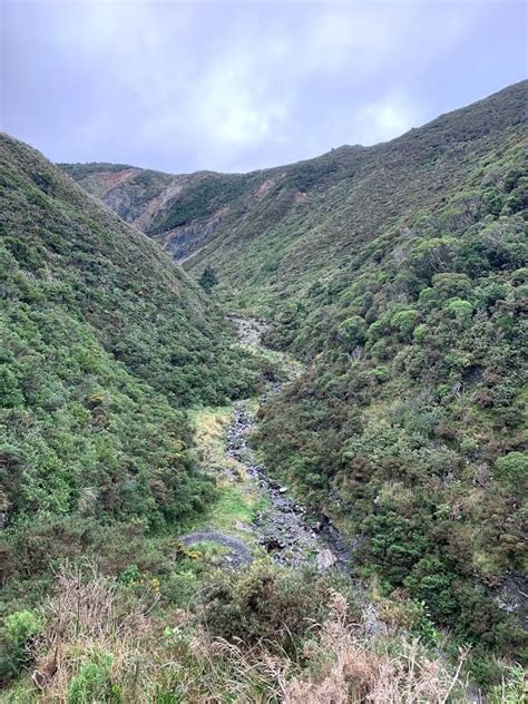 Rimutaka Incline Wellington Trails Photo Gallery Wild Things