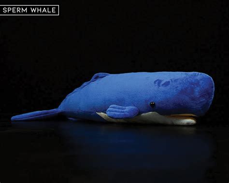 165 North Pacific Right Whale Plush Toy Whale Stuffed Etsy