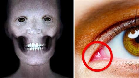 17 Jaw Dropping Facts You Didnt Know About The Body Youtube