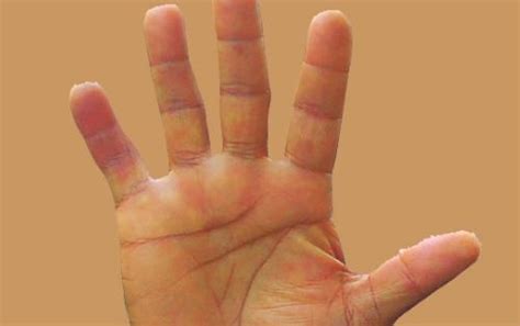 Why Human Palms Have Lines On Them Information Nigeria