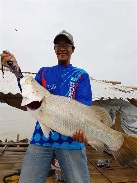 Yuk, cari tahu tentang si . Bulan Musim Ikan Kakap Putih : Ikan kakap putih yang ...