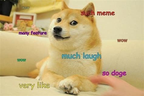 Stories Behind Iconic Meme Pictures From Ermahgerd To Doge