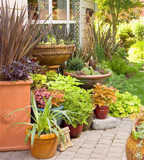 How To Group Container Gardens Together Better Homes And Gardens