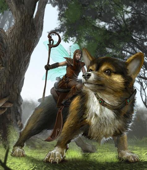 Riding Your Corgi Into Battle Mythology And Folklore Corgi Cute