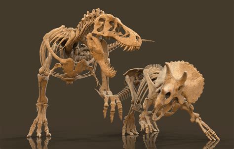 Vitamin Imagination Tyrannosaurus Vs Triceratops By Vitamin Imaigination Natural History