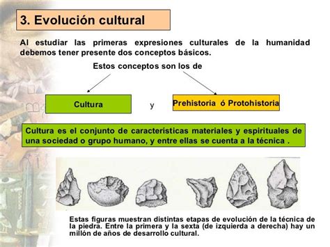 Hominización Y Evolución Cultural