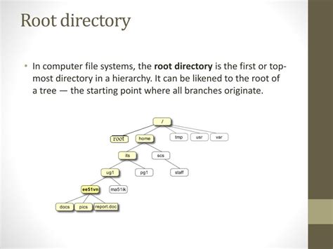 Ppt Root Directory Powerpoint Presentation Free Download Id3480377
