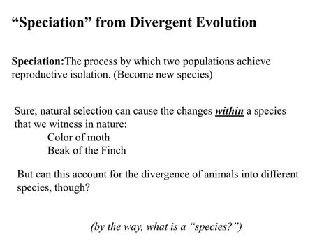 Ppt Speciation From Divergent Evolution Powerpoint Presentation