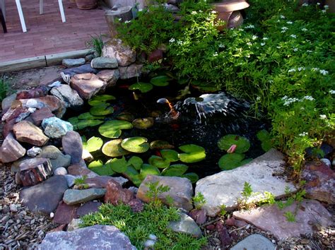 See more ideas about backyard, fish pond, pond. Alt. Build Blog: A Small Backyard Pond