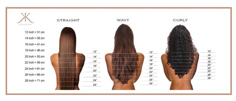 Hair Length Chart Cm Hair Length Chart Weave Of Mcsara Hair Company