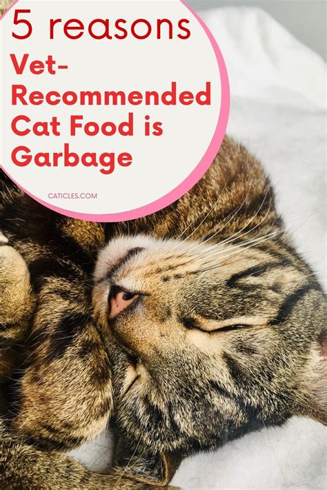 Most vets recommend it, and some cats insist on it. 5 Reasons Your Vet Recommended Cat Food is Complete Garbage