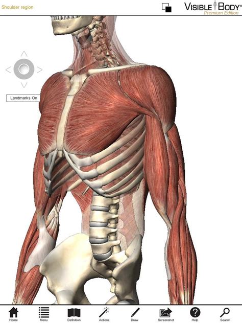 Publishers of two anatomy for artists books: Grey's Grey's Anatomy uses Digital Human anatomy browser ...