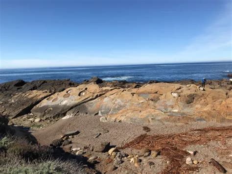 Best 10 Hikes And Trails In Point Lobos State Natural Reserve Alltrails