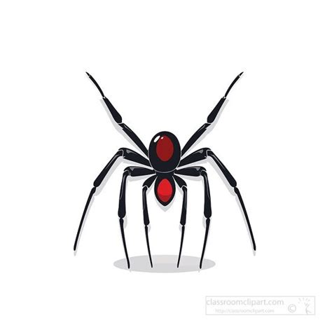 Spider Clipart Black Widow Spider Vector