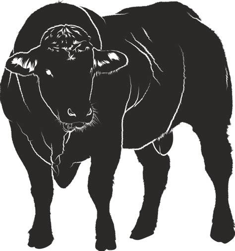 Bull Silhouette Black Isolated · Free Vector Graphic On Pixabay