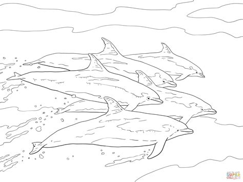 They are smart animals because they can hear their friends' calling from a. Bottlenose Dolphins School coloring page | Free Printable ...