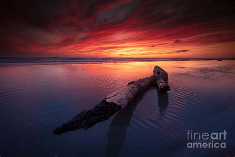 Sunset Log Photograph By Marco Crupi Fine Art America