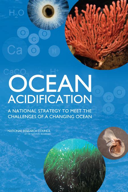 4 effects of ocean acidification on marine ecosystems ocean acidification a national strategy