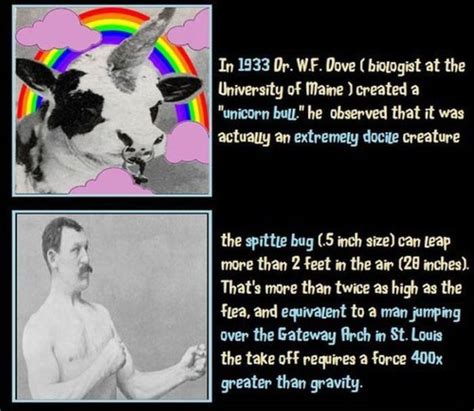 Interesting Facts That Are Actually True 12 Pics