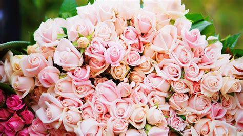 Download Wallpaper 1920x1080 Roses Bouquet Pink Tenderness T