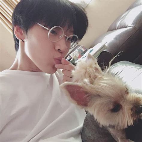 NCT pets (Educational) | K-Pop Amino
