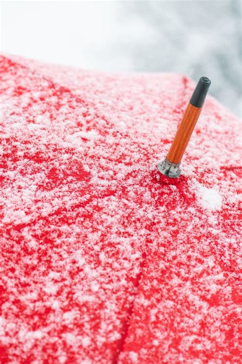 Close Up Of Red Umbrella In Snow Stock Photo Image Of Protection